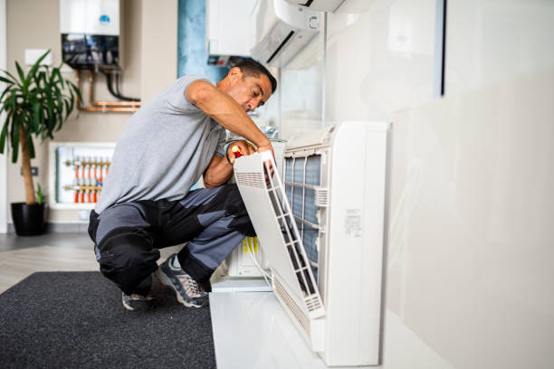 Best Affordable Duct Cleaning Services  in Ville Ptte, LA